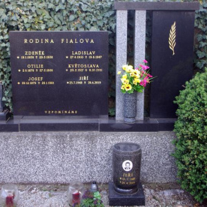 12 Fialova