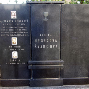 19 Hegerova a Švarcova
