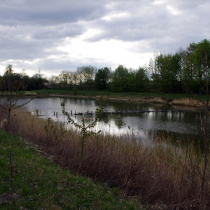 Žatčanský rybník 25.4.2020