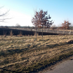 foto_8464