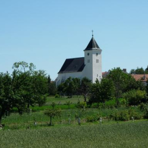 14.6.2009