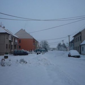 Zahrady 4.12.2010