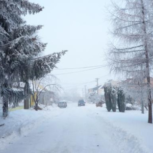 Kout 4.12.2010
