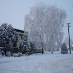 Michlův dům na Ovčírnách 4.12.2010