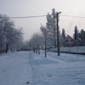 Ovčírny před OÚ 4.12.2010